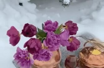 Нехай перший день зими подарує тобі відчуття щастя