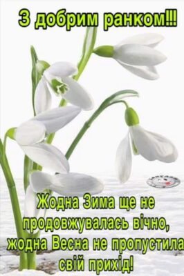 Нехай Різдво у вишиванці, розбудить вас щасливо вранці!