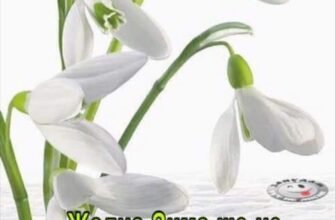 Нехай Різдво у вишиванці, розбудить вас щасливо вранці!