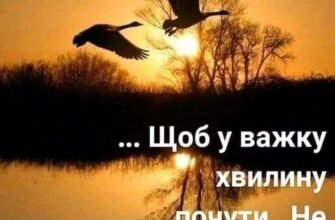 Нехай твої очі світяться щастям