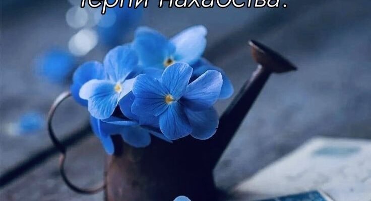 Нехай з цього дня почнуть здійснюватися найзаповітніші мрії