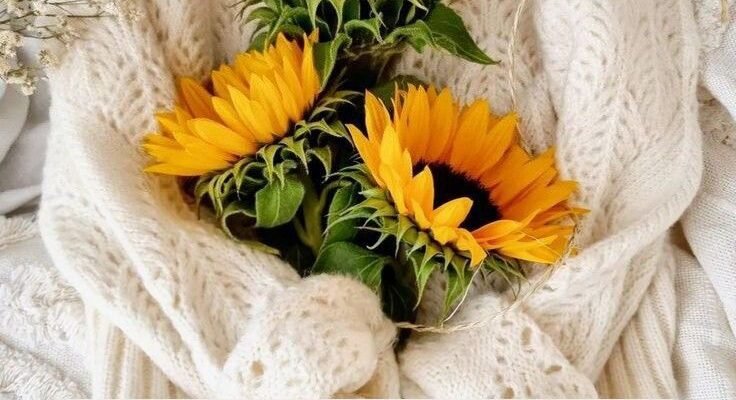 Нехай життя твоє буде прекрасним, цукровим і легким