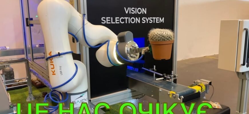 Нітроамофоска: секрети ефективного використання в сільському господарстві