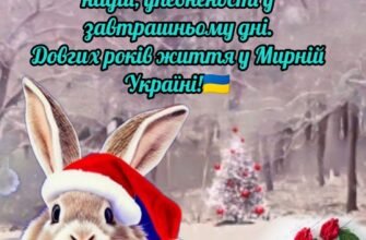Новорічні свята — це маленьке диво, якого з нетерпінням чекають дорослі і діти