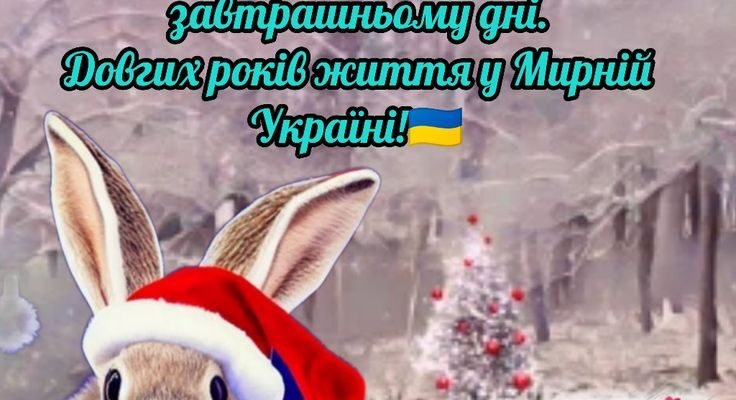 Новорічні свята — це маленьке диво, якого з нетерпінням чекають дорослі і діти