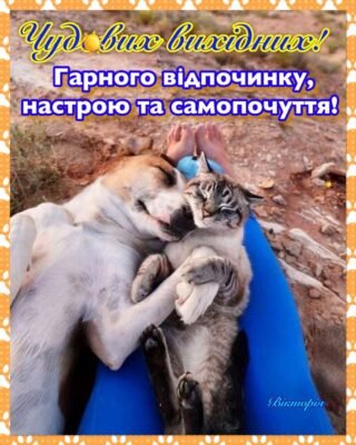 Ну, нарешті сталося диво, і ти йдеш у свою довгоочікувану відпустку!