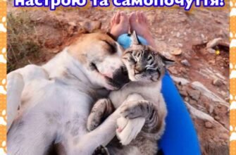 Ну, нарешті сталося диво, і ти йдеш у свою довгоочікувану відпустку!