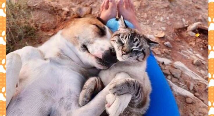 Ну, нарешті сталося диво, і ти йдеш у свою довгоочікувану відпустку!