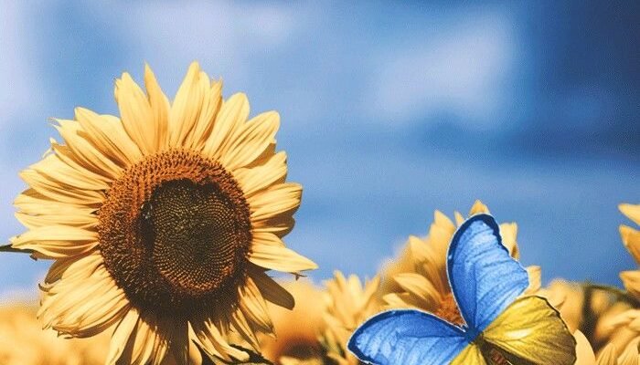 Ось і закінчилася трудовий тиждень. Ура, П’ятниця!