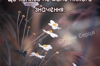 Ось і закінчився черговий етап у вашому житті