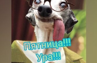 Ось і закінчився робочий тиждень. Ура, сьогодні П’ятниця!