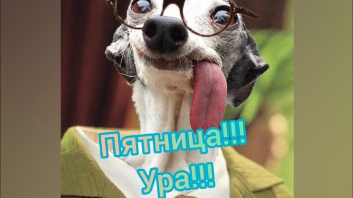 Ось і закінчився робочий тиждень. Ура, сьогодні П’ятниця!