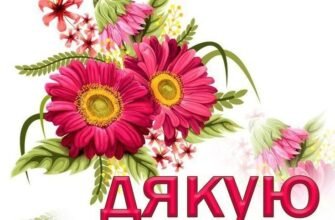 Отримав дві тверді п’ятірки Вітаємо тебе з тим, що ти зміг