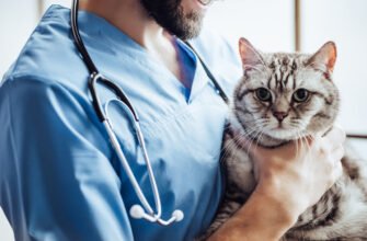 Панкреатит у кота