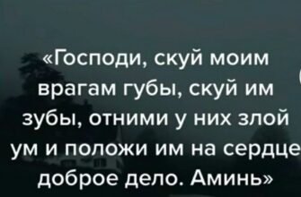 Перед тобою відкриті всі дороги — обирай