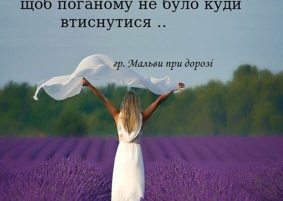 Перед вихідними бажаю набратися оптимізму та сил