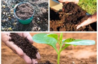 Як зробити перегній: покрокова інструкція та поради для садівників