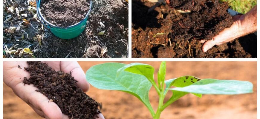 Як зробити перегній: покрокова інструкція та поради для садівників