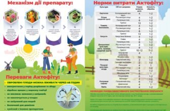 Ефективне використання Актофіту: інструкція та рекомендації