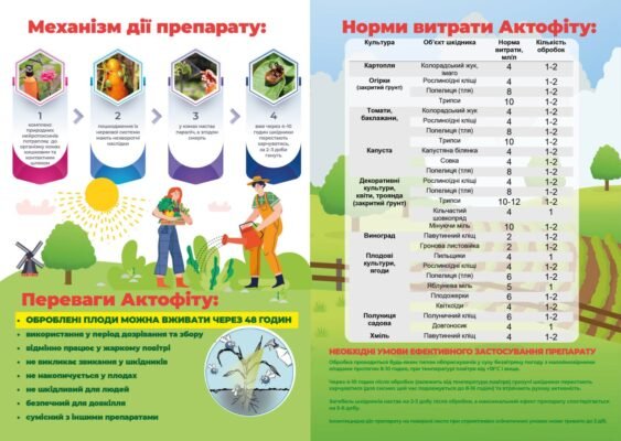 Ефективне використання Актофіту: інструкція та рекомендації