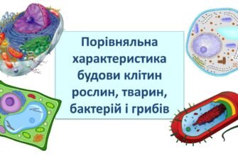 Перманентний маркер: визначення, властивості та використання в житті