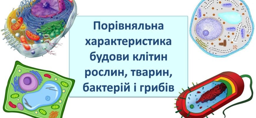 Перманентний маркер: визначення, властивості та використання в житті