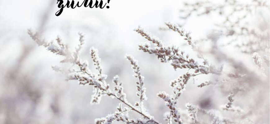 Перший день зими – це початок нової казки
