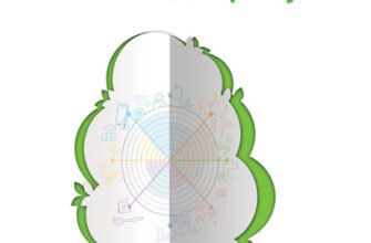 Піхта: вічнозелена краса та її користь для здоров’я та природи