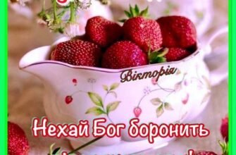 Посміхається там сонце! Значить, час уже вставати