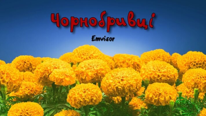 Прабабуля моя дорога! Кожна зморшка твоя – промінчик тепла