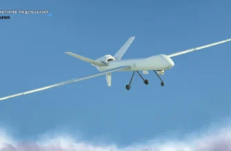 Прянощі: що це таке, їх види та як правильно використовувати