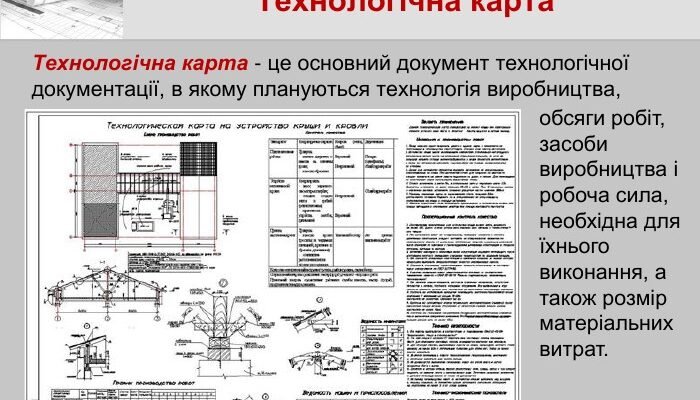 Проформа: що це таке та як використовується в документації?