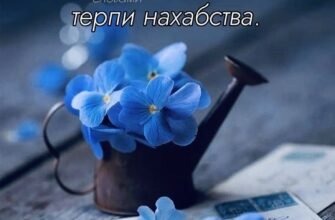 Привітання і побажання мої в думках величезні, а на листі такі