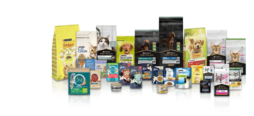 Раціон для стерилізованих котів: на що звертати увагу?