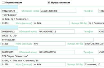 Як зробити здп перевізнику: покрокова інструкція та поради для успіху