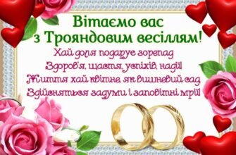 Рідні наші, любі, сьогодні ваше весілля. Прийміть як настанови нашу мудрість
