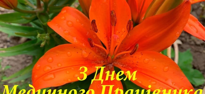 Сердечно вітаємо з Днем медичного працівника! Ця професія викликає глибоку повагу