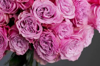 Сеструлька моя хороша, вітаю з твоїм днем!