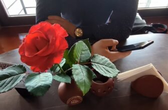 Що таке ЕДТА: застосування, властивості та користь для здоров’я