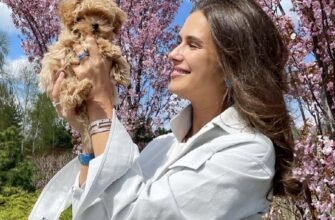 Що таке ТАПБ: Все, що потрібно знати про ТАПБ в деталях