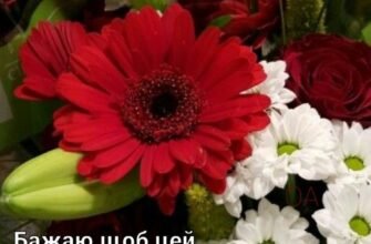 Щоденно нехай вам дарують квіти