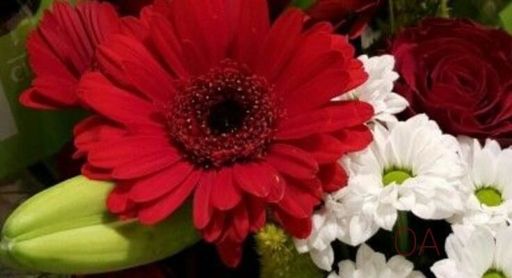 Щоденно нехай вам дарують квіти