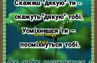 Щороку я приходжу до добрих людей, щороку дарую посмішки та подарунки