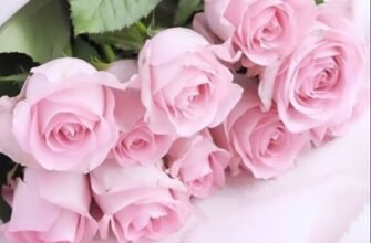 Щиро запрошую тебе на мій день народження!