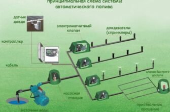 Ефективний полив газону: покроковий гід для ідеального результату