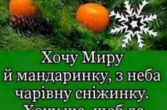 Ширше двері відкривайте, Новий Рік вже йде до вас