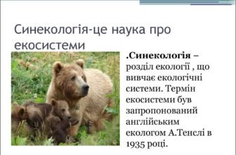 Синекологія: вивчення взаємодії видів у природних екосистемах