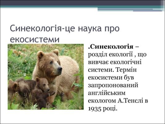 Синекологія: вивчення взаємодії видів у природних екосистемах