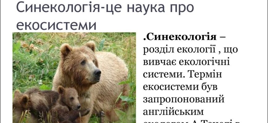 Синекологія: вивчення взаємодії видів у природних екосистемах