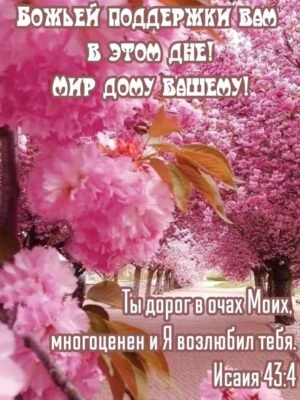сьогодні прекрасний День. Але не подумайте, це не іменини
